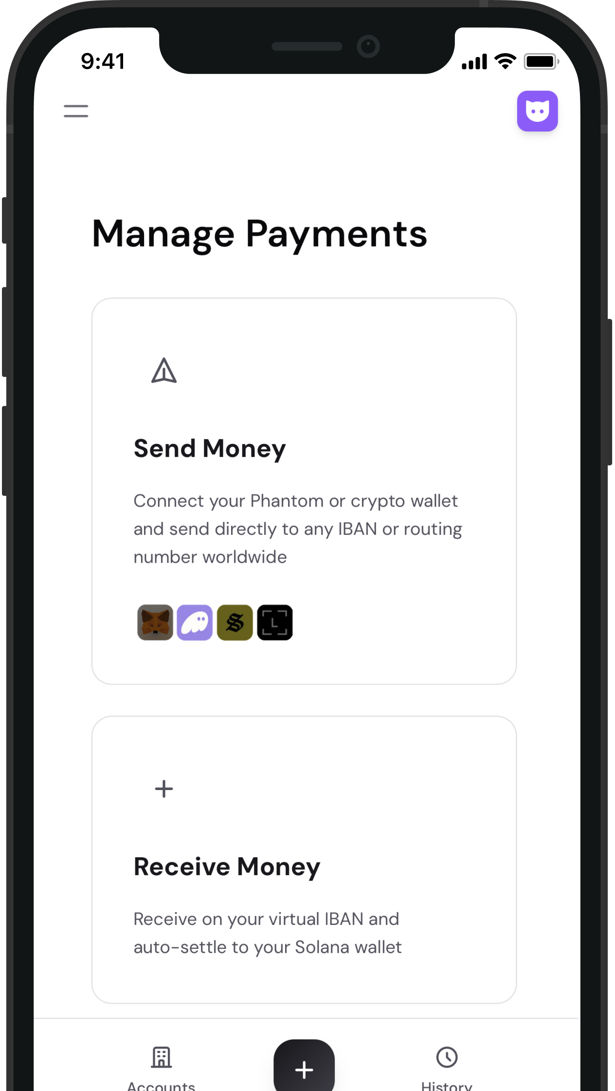 Karma Pay App Interface